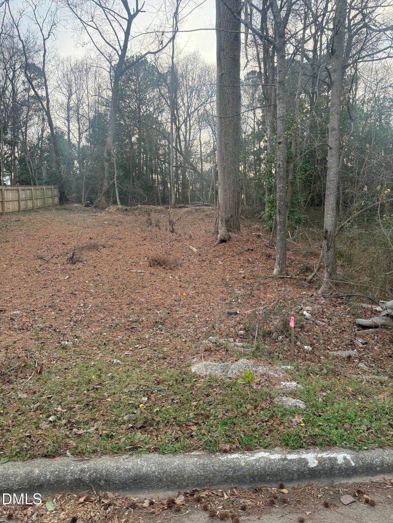 Hinton St, Clayton, NC 27520