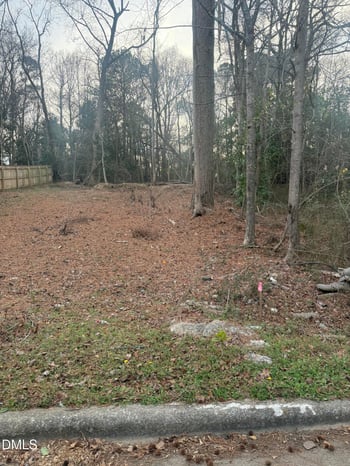 Hinton St Lot 13, Clayton, NC 27520