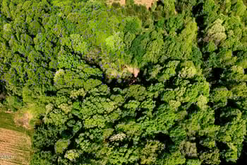 Hodges Dairy Rd, Yanceyville, NC 27379