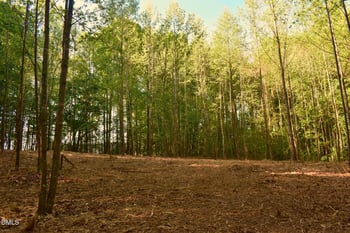 Hodges Dairy Rd, Yanceyville, NC 27379