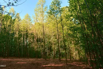 Hodges Dairy Rd, Yanceyville, NC 27379