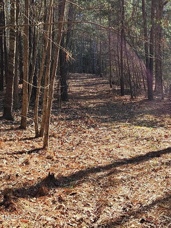 Hogan Farm Rd Lot 3, Apex, NC 27523