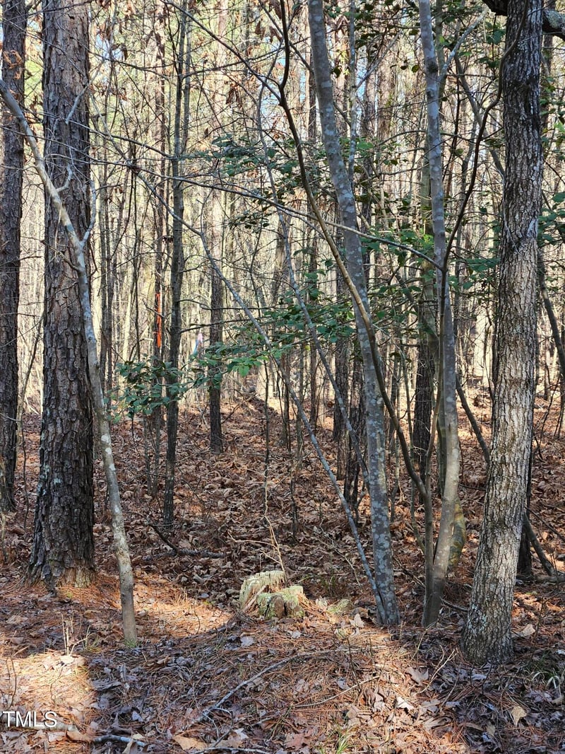 Hogan Farm Rd Lot 3, Apex, NC 27523