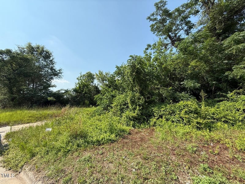 0 Holly St, Goldsboro, NC 27530