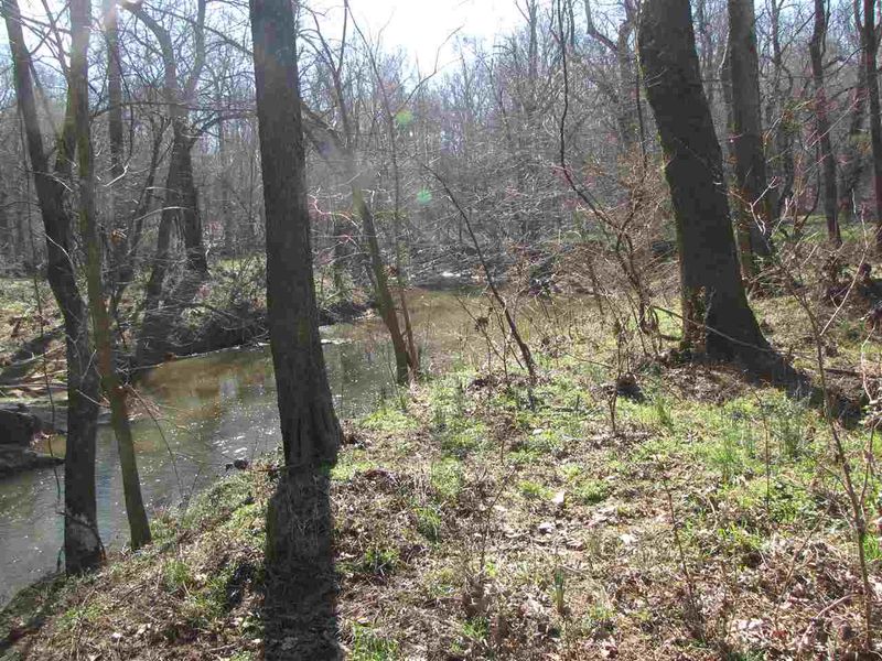 0 Holman Mill Rd Lot 21D, Snow Camp, NC 27349