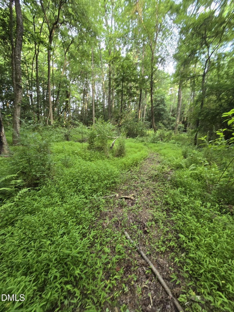 Honeycutt Rd, Willow Springs, NC 27592