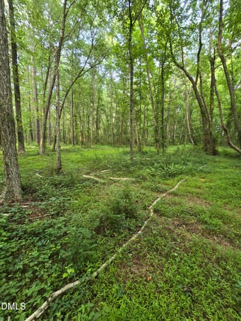 Honeycutt Rd, Willow Springs, NC 27592