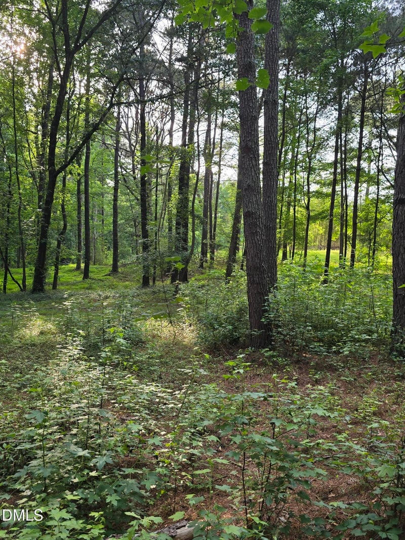 Honeycutt Rd, Willow Springs, NC 27592