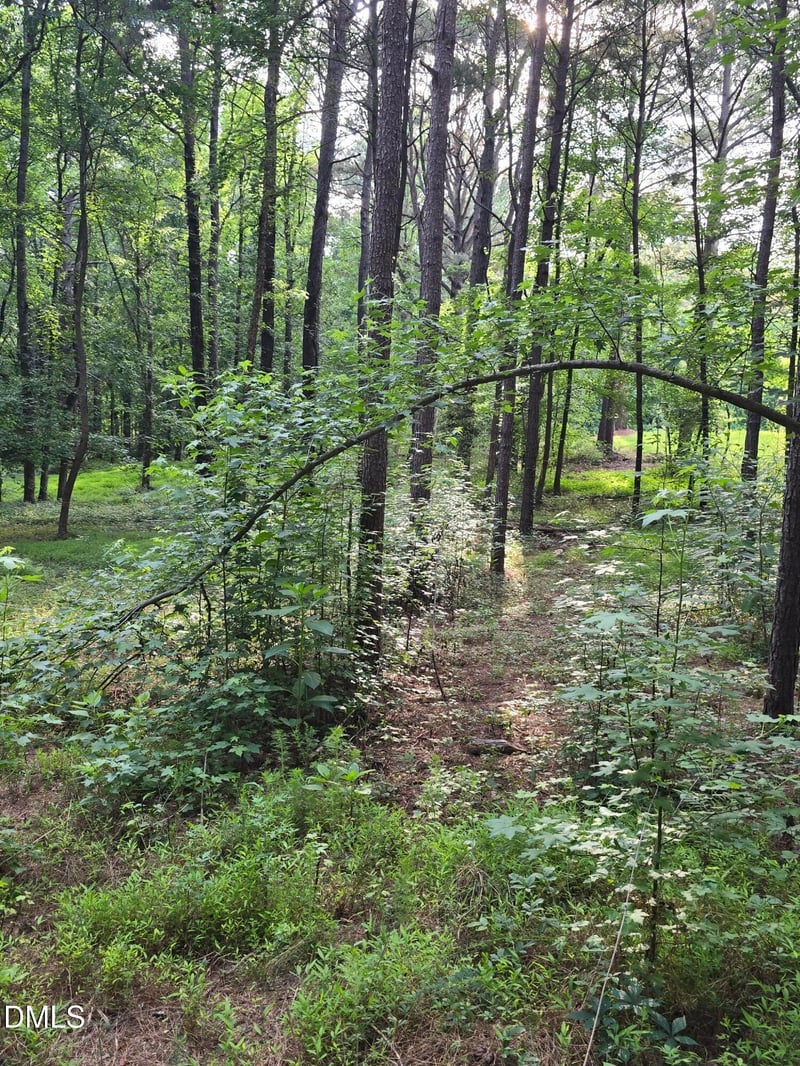 Honeycutt Rd, Willow Springs, NC 27592