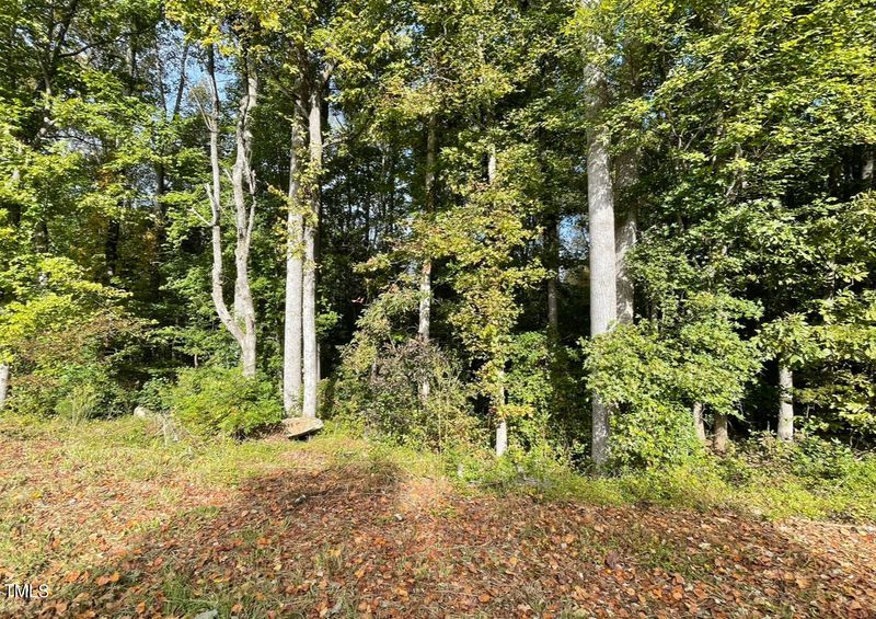 0 Hurdle Mills Rd Lot 1, Roxboro, NC 27574