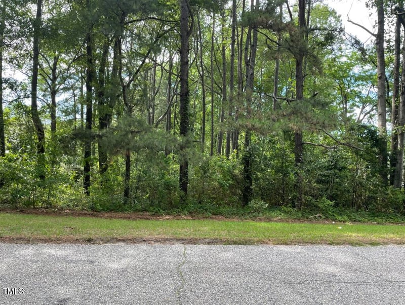 I St Lot 1, Erwin, NC 28339