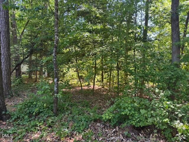 Irish Blvd Lot 1714, Sanford, NC 27332