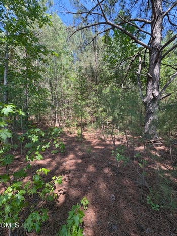 Jaback , Zebulon, NC 27597