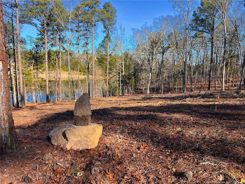 0 Jennifer Ln, Sanford, NC 27330