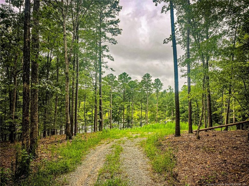 0 Jennifer Ln, Sanford, NC 27330