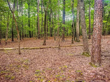 Jennifer Ln, Sanford, NC 27330