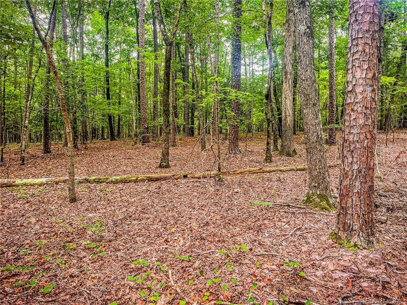 0 Jennifer Ln, Sanford, NC 27330