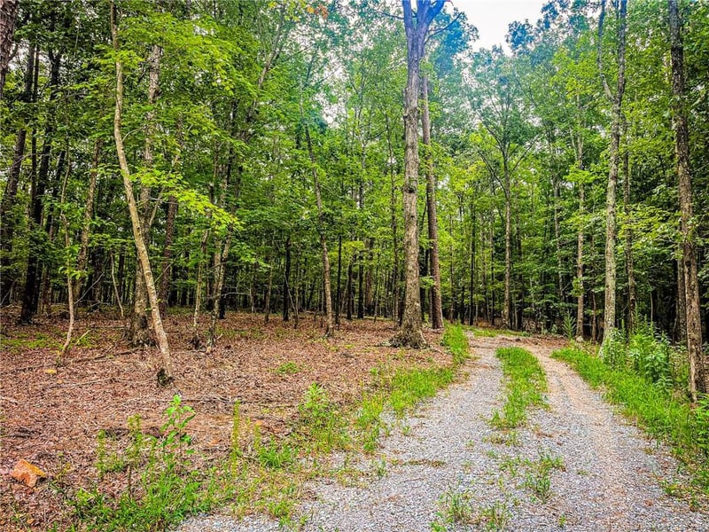 0 Jennifer Ln, Sanford, NC 27330