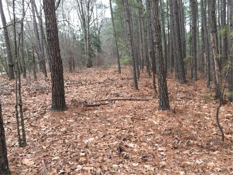 0 Joe Collins Rd, Lillington, NC 27546