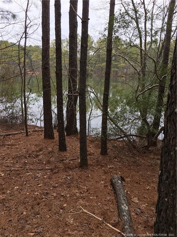0 Joe Collins Rd, Lillington, NC 27546