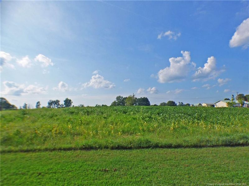 0 John Godfrey Rd, Sanford, NC 27330