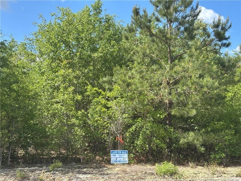 Johnson Rd, Fayetteville, NC 28312