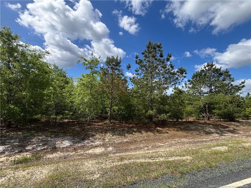 Johnson Rd, Fayetteville, NC 28312