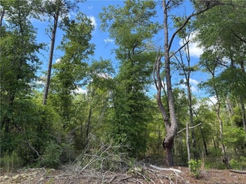 Johnson Rd, Fayetteville, NC 28312