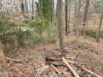 Johnson St Lot 2, Chapel Hill, NC 27516