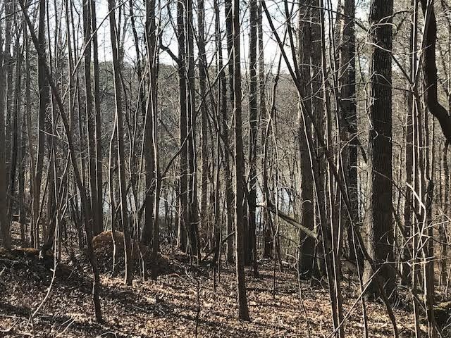 0 Jones Ferry Rd, Chapel Hill, NC 27516