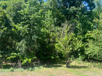 Jones Ferry Rd, Chapel Hill, NC 27516