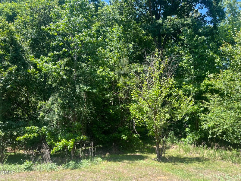 Jones Ferry Rd Lot 4, Chapel Hill, NC 27516