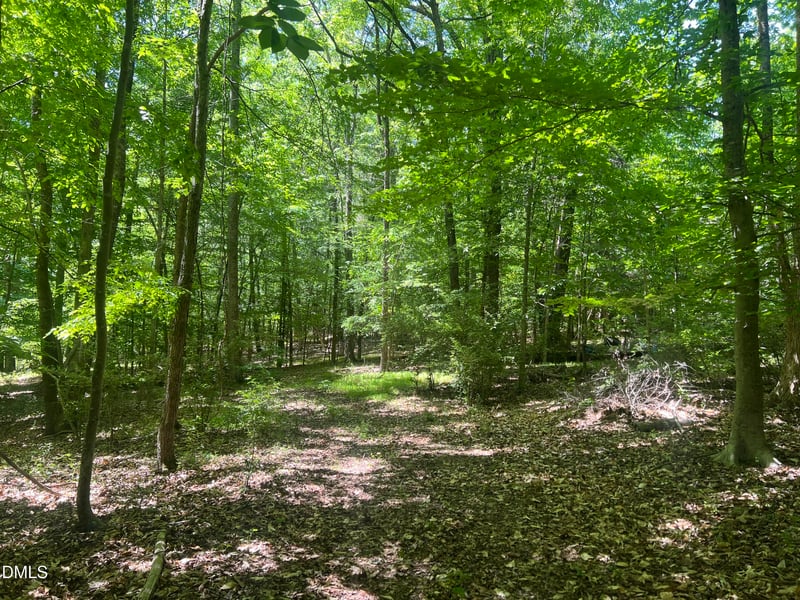 Jones Ferry Rd Lot 4, Chapel Hill, NC 27516
