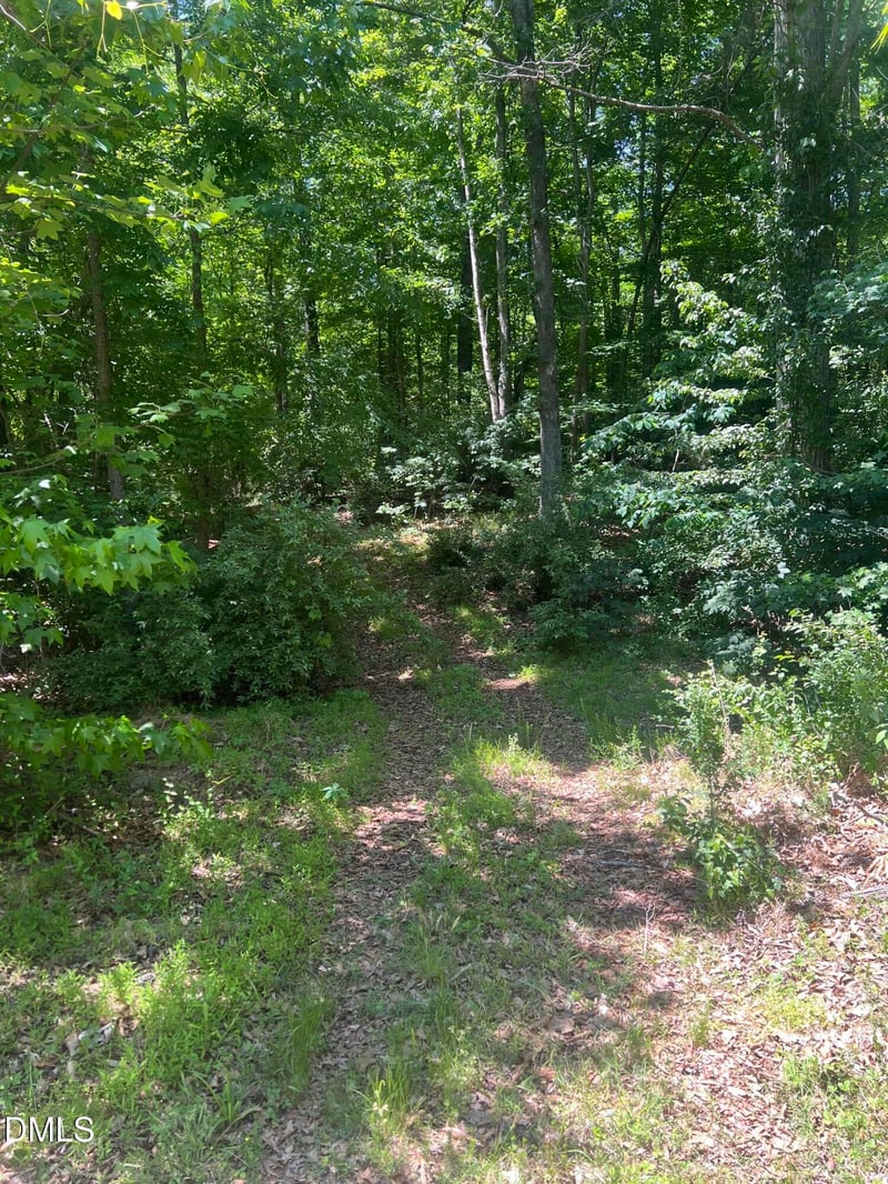 Jones Ferry Rd Lot 4, Chapel Hill, NC 27516