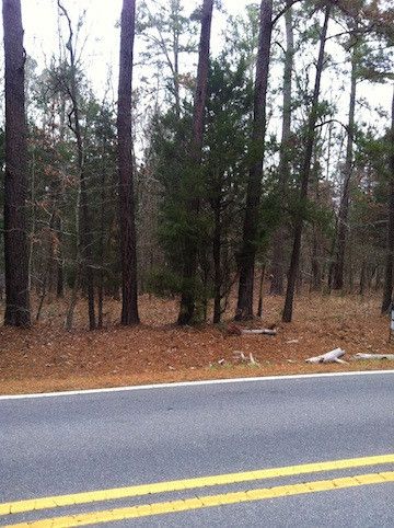 0 Jones Ferry Rd, Pittsboro, NC 27312