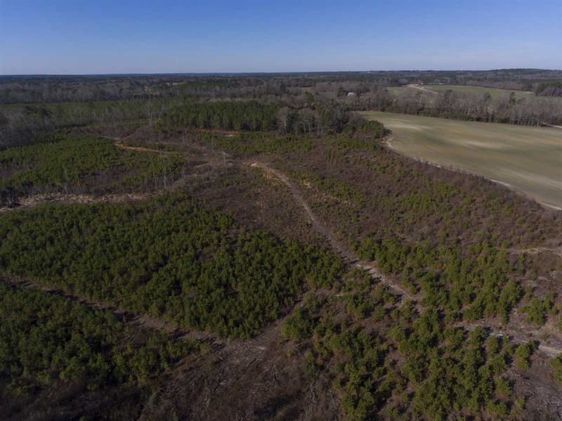 0 Josey Williams Rd Lot 1, Erwin, NC 28339