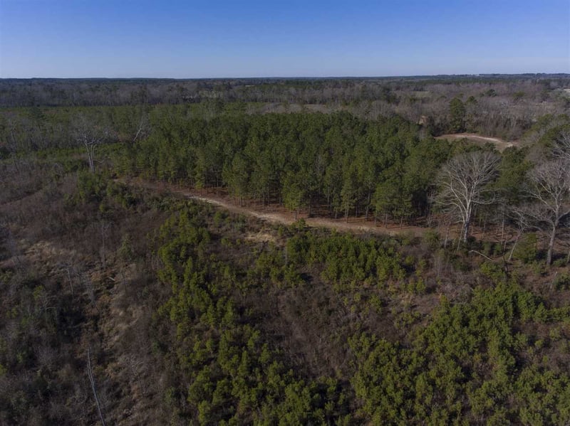 0 Josey Williams Rd Lot 1, Erwin, NC 28339