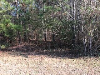 0 Kelley Meadows Ct, Knightdale, NC 27545