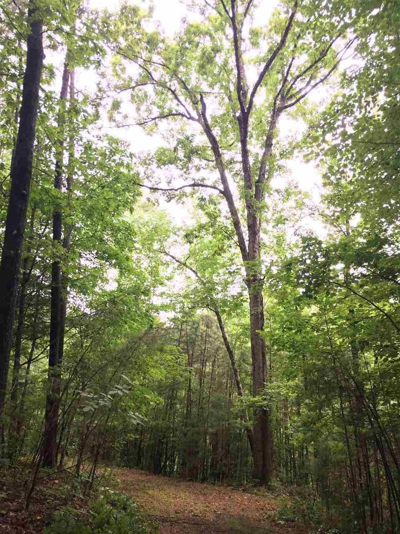 0 Kerley Rd Lot 12, Durham, NC 27705