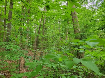 Kildare Cir Lot 1, Sanford, NC 27330