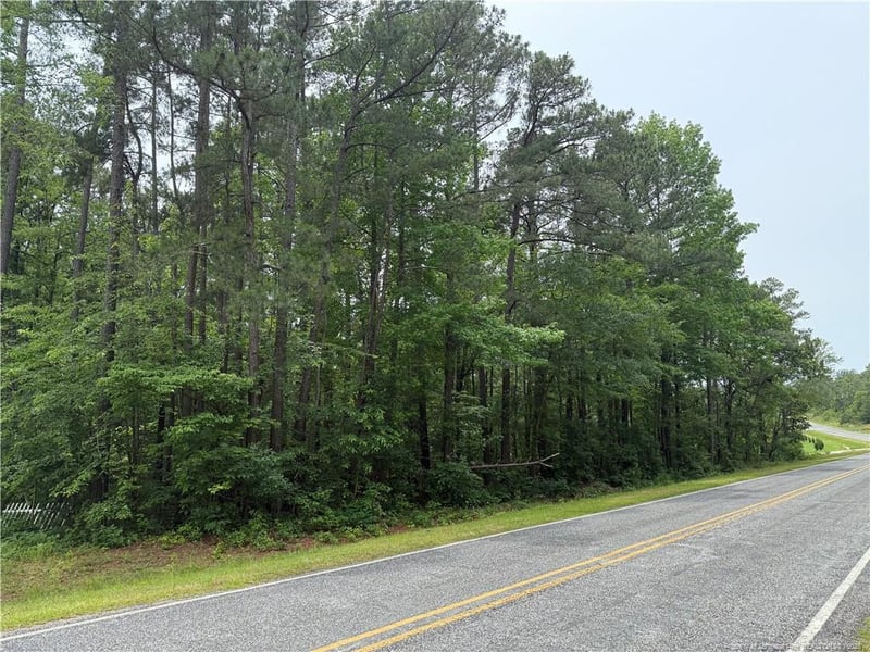 0 Kramer Rd, Lillington, NC 27546