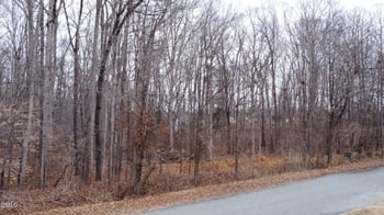 Lacy Nichole Dr, Graham, NC 27253