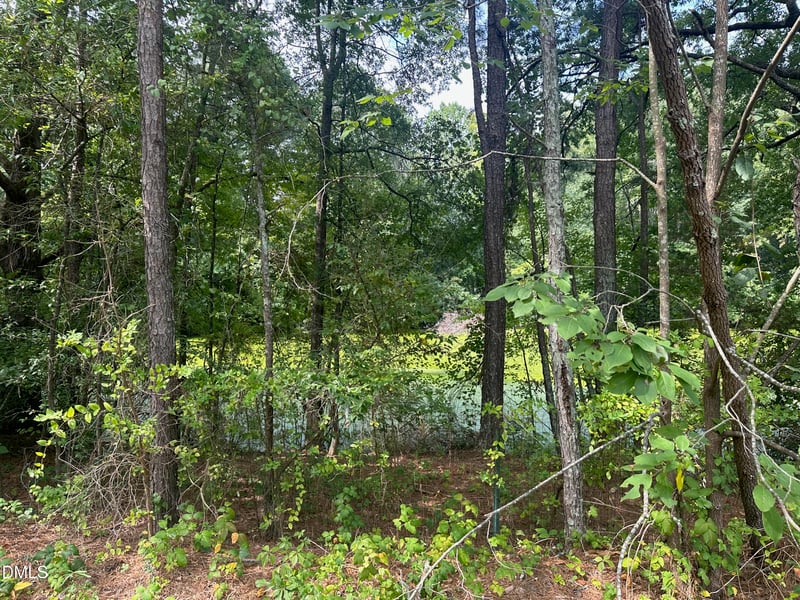0 Lakeside Trl Lot n/a, Raleigh, NC 27603