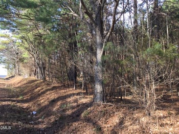 Lambert Rd, Graham, NC 27253