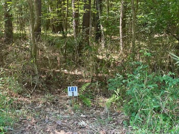 Landmark Rd, Willow Springs, NC 27592