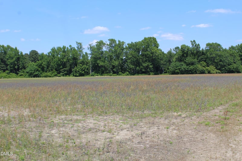 Lees Chapel Church Rd, Dunn, NC 28334
