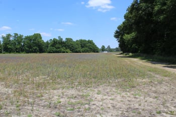Lees Chapel Church Rd, Dunn, NC 28334