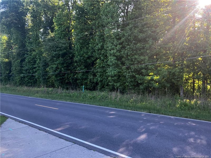 Lemon Springs Rd, Sanford, NC 27330