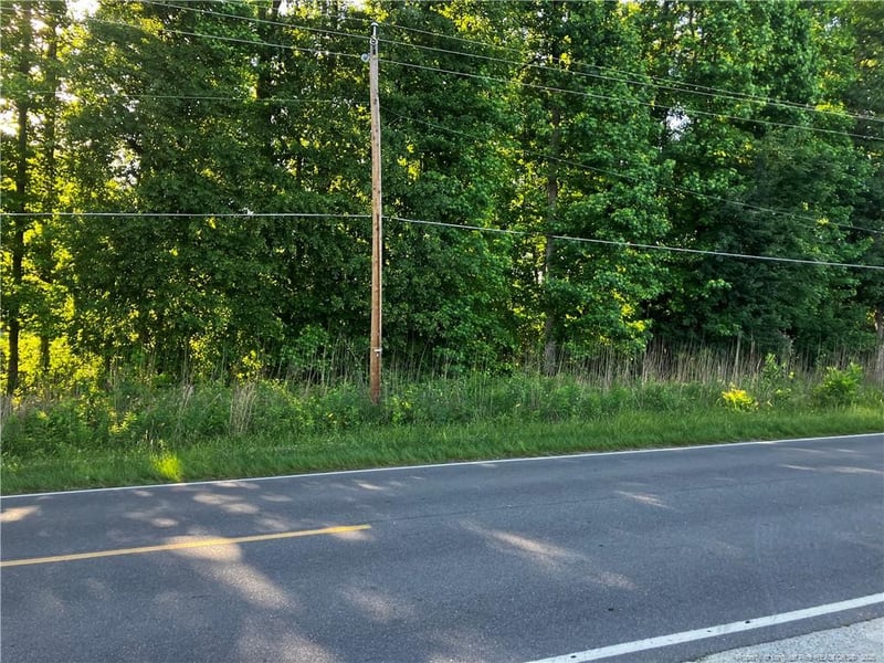 Lemon Springs Rd, Sanford, NC 27330