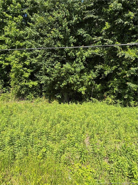 Lemon Springs Rd, Sanford, NC 27332